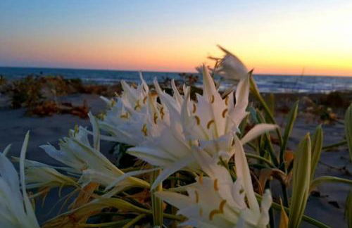 La Maisonette di Eliana - free parking - Foto 7