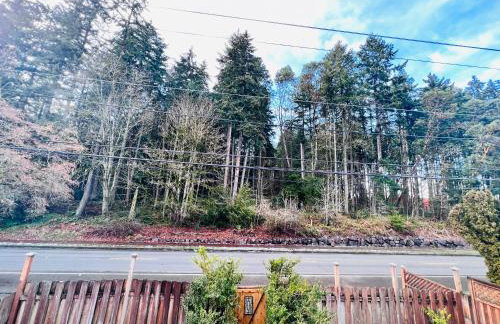 MountForest - Foto 5