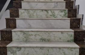 Hotel Balneário - Foto 13