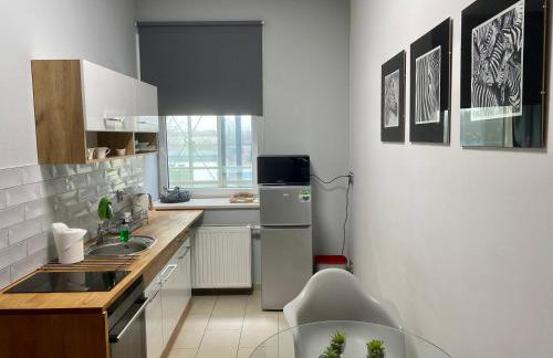 Apartamenty i pokoje „Pod Jedynką” - Foto 58