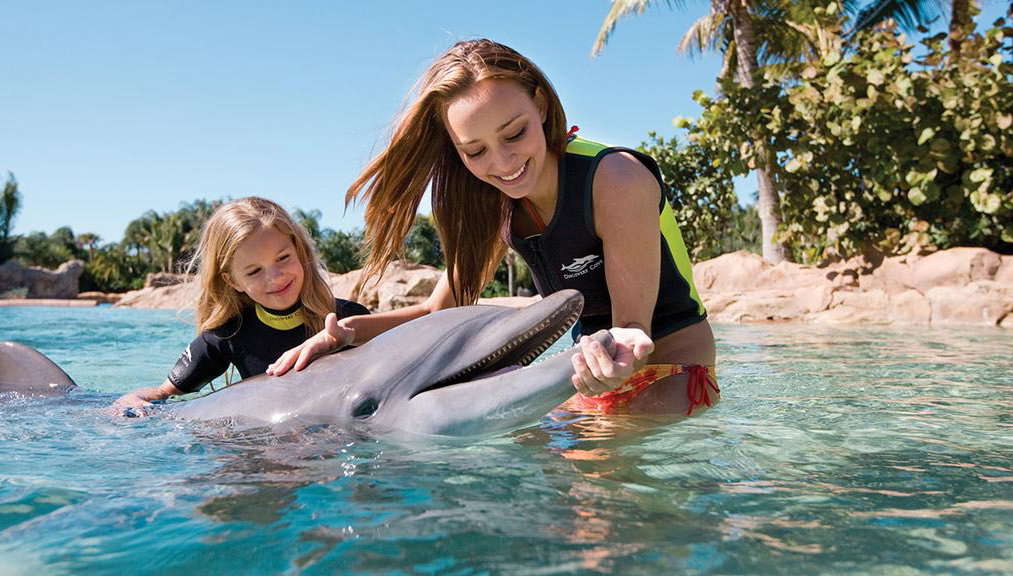 Discovery Cove - Foto 1