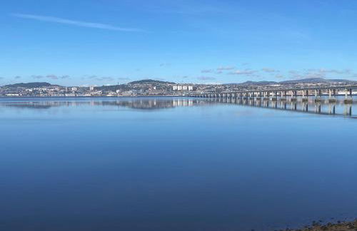 Lazy Bulldog - Foto 17