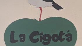 La Cigotà - Villa with swimming pool for 8 people - Foto 5