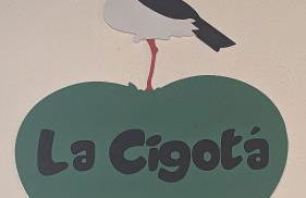 La Cigotà - Villa with swimming pool for 8 people - Foto 5