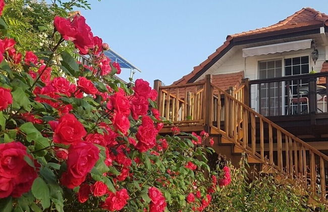 Namhae German Village Frankfurt Story - Foto 20