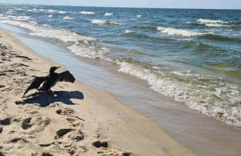 Dom Derbend na wyłączność - Foto 45