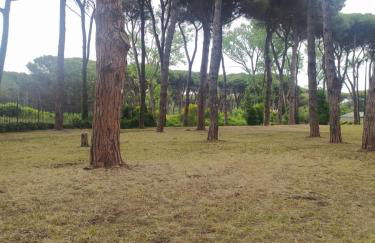 Attico con terrazza in Via dei Traghetti - Foto 28