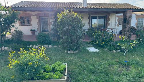 Masia en el Delta del Ebro - Foto 4, Garden