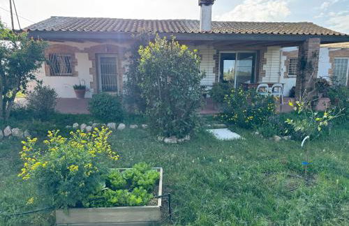 Masia en el Delta del Ebro - Foto 4