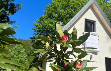 Domek w lesie - Foto 22