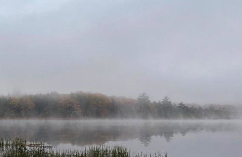 The Pinecone - Foto 22