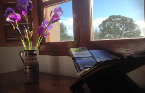 Cortijo Berruguilla - Foto 36