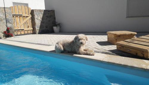 Casas da Lameirancha - Foto 4, pet friendly