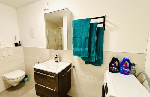 Modernes Wohlfühl Apartment Stadtnah in ländlicher Gegend - Foto 13