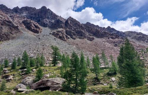 La casetta in Val Masino - Foto 9