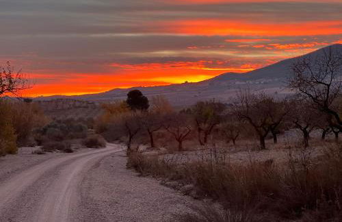 Vakantiehuis Casa de Musica - Foto 47