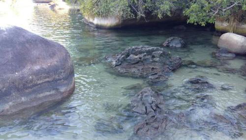 Recanto da Nice - Foto 5