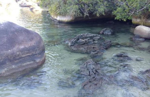 Recanto da Nice - Foto 5