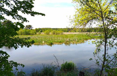 Leśniczówka Zielone Zakole - Foto 47