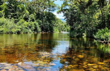 Casinhas do Rio - Casinha Azul na Floresta - Photo 22
