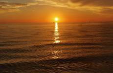 La Conchiglia sul Mare - Foto 53