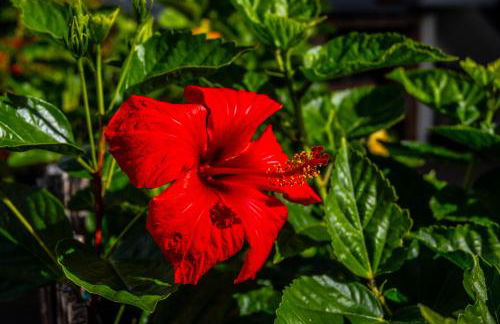 Apartamento Domingos - Photo 16