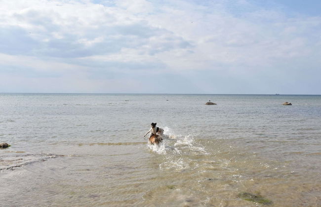 Lovely Holiday Home in Zierow With Terrace - Foto 20