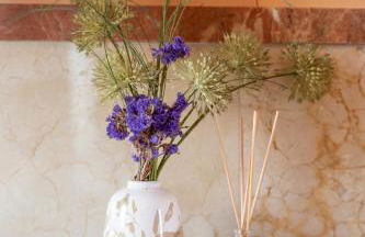 Bellavista Aeropuerto - Foto 30