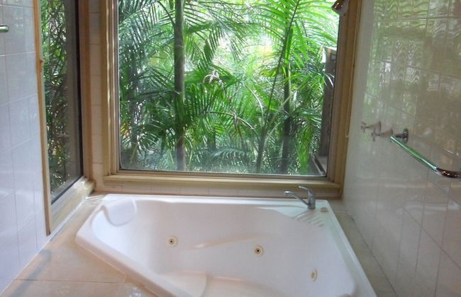 Treetops Accommodation Montville - Photo 58