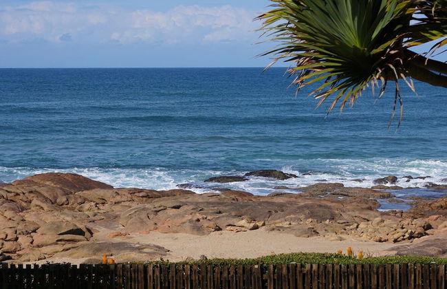 Southern Comfort - Starfish - Foto 19