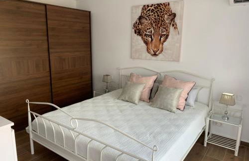 Los Nísperos - Photo 30