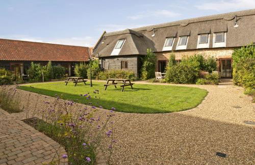 Sorrel - E4321 - Foto 1