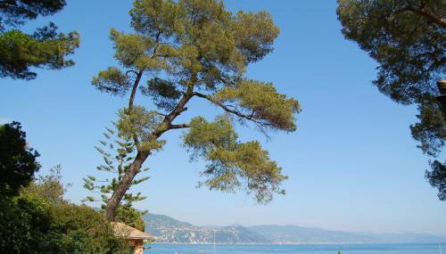 Portofino Seaview Apartment, 50 meters from the beach, free parking, air conditioning - Foto 3