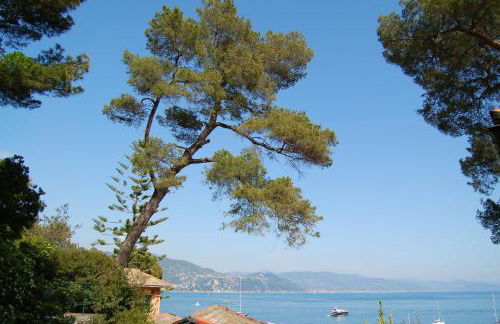 Portofino Seaview Apartment, 50 meters from the beach, free parking, air conditioning - Foto 3
