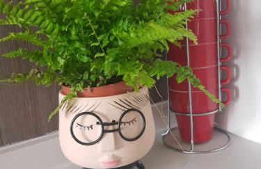 El BALCÓN de PILAR - Foto 19