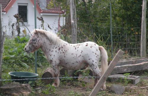 Gîte moderne avec accès indépendant, proche centre-ville et Thermes, terrasse et équipements inclus - FR-1-589-57 - Photo 16