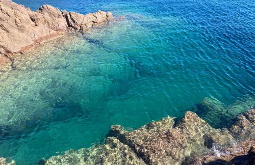 Domaine Valescure vue Piscine ou Pinede - Wifi - Foto 46