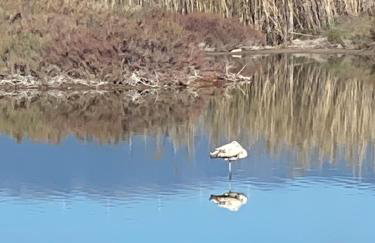 Gianna’s apartment central Aigio Cozy and Shining - Foto 58