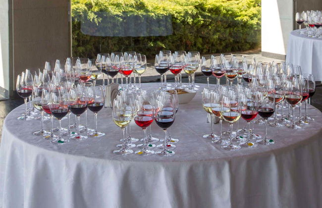 Visita a las bodegas Campillo - Foto 1