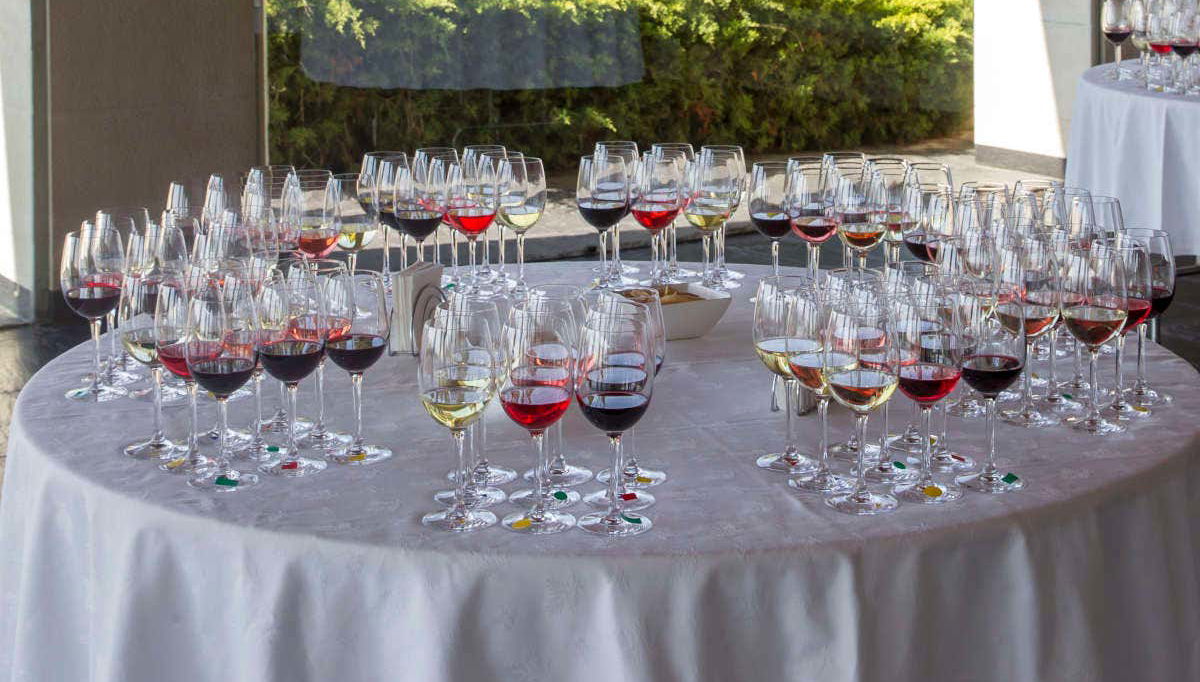 Wine tasting at Campillo wineries