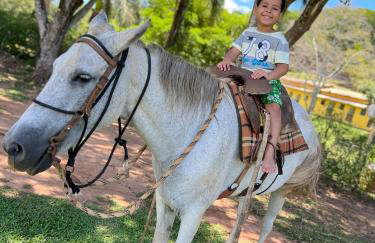 Hotel Fazenda Minas Real - Photo 19