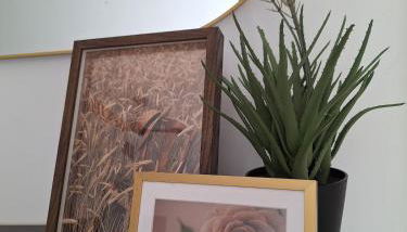 Casa Maria - Vacation home - Photo 4