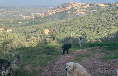 SetterHouseAgriHotel - Photo 54