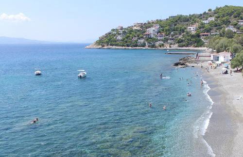 MNS Marvelous Nirvana Seascape, Creativity - Foto 2