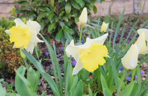 Ferienwohnung Festungsblick Königstein - Foto 25