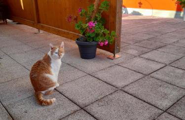 Trollenhof - Foto 12