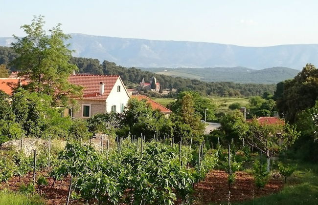 House Pod Humom - Foto 32