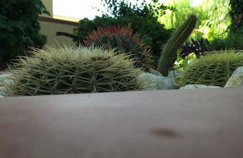 Poggio Delle Palme - Foto 23