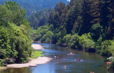 River View Lodge - Hot Tub And Tastings Included - Foto 8
