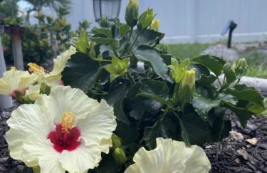 Villa-Haze, lots of privacy, solar & electric heated pool and SPA - Photo 50